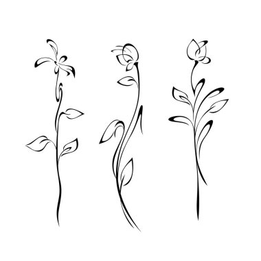 Uzun saplı üç ayrı dekoratif çiçek. Beyaz arkaplanda siyah çizgiler var.