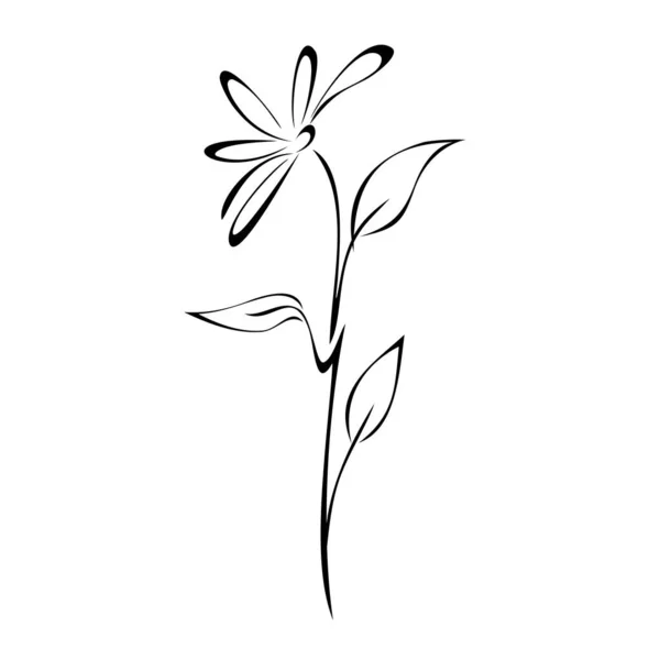 Uma Flor Florescente Estilizada Caule Com Três Folhas Linhas Pretas — Vetor de Stock