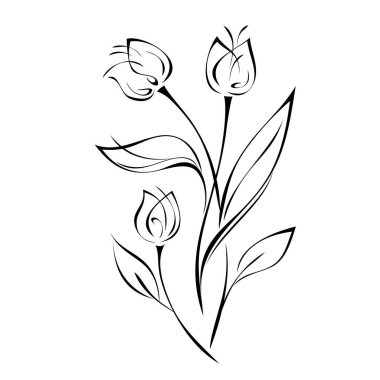 Eğri sapları üzerinde çiçek tomurcukları olan stilize bir buket. Beyaz arkaplanda siyah çizgileri olan yapraklar.