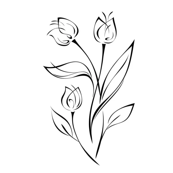 Stilizált Csokor Virág Rügyek Ívelt Szárak Levelek Fekete Vonalak Fehér — Stock Vector