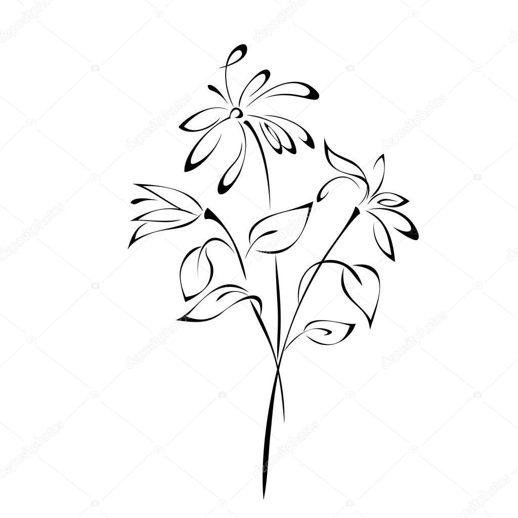 bouquet of stylized flowers on long stems with leaves in black lines on a white background