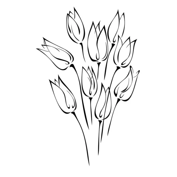 Csokor Stilizált Tulipán Bimbók Fekete Vonalak Fehér Alapon — Stock Vector