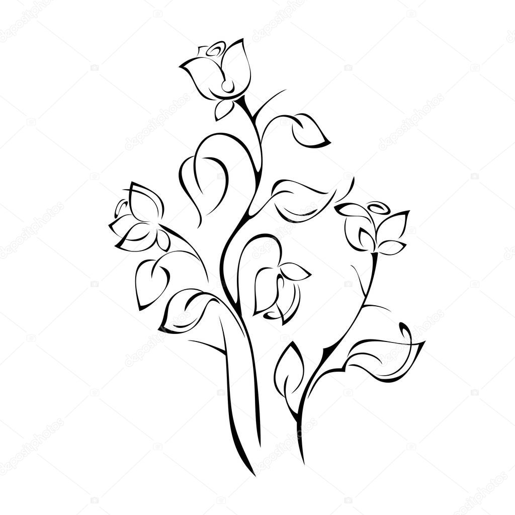 several stylized rose buds on stems with leaves and thorns in black lines on a white background