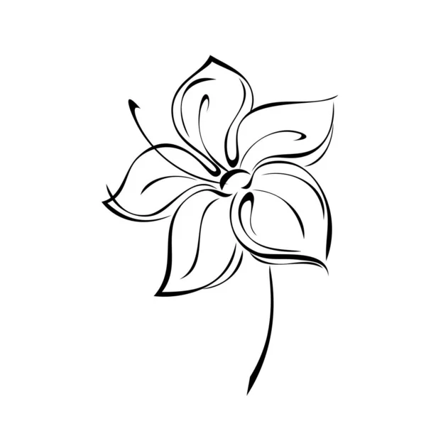 白い背景に黒い線で短い茎に大きな花弁を持つ一つの様式化された花 — ストックベクタ
