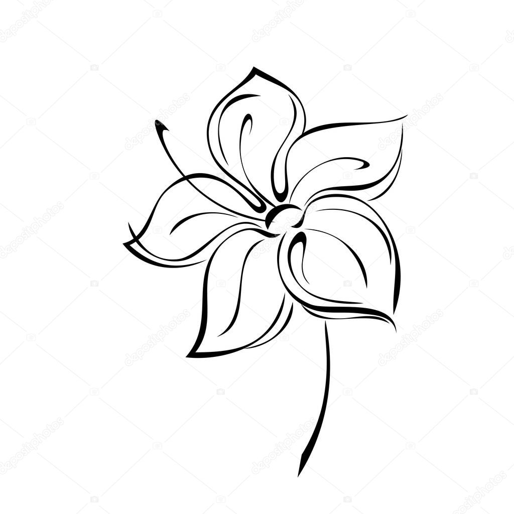 one stylized flower with large petals on a short stalk in black lines on a white background