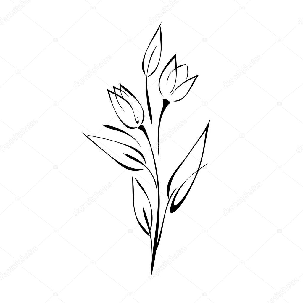 two stylized flower buds on stems with pointed leaves in black lines on a white background