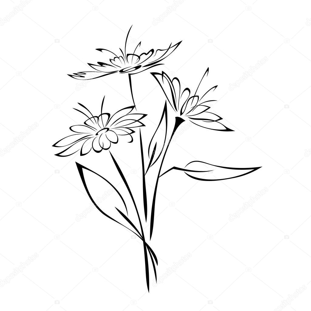 bouquet of stylized flowers on stems with leaves in black lines on a white background