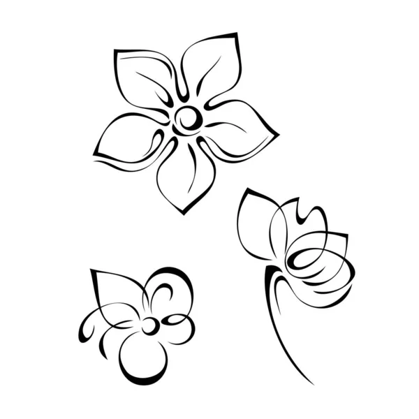 Three Separate Decorative Flowers Black Lines White Background — Stock Vector