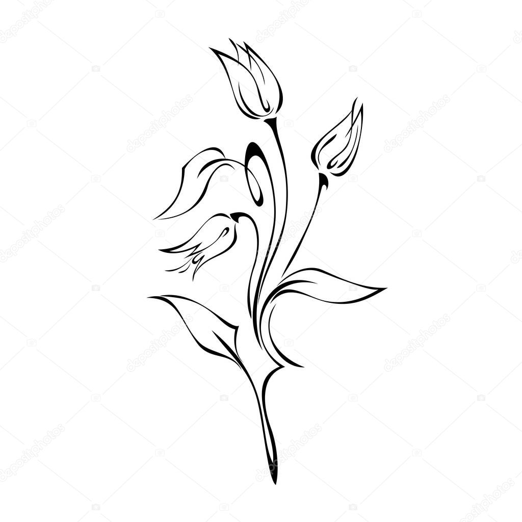 three flower buds on curved stems with leaves in black lines on white background