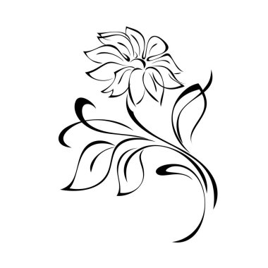 kıvrımlı bir sapta, beyaz arkaplanda siyah çizgiler ve kıvrımlar olan bir çiçek.