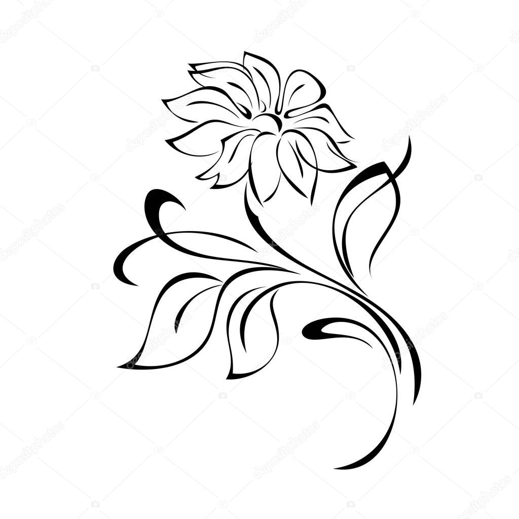 one stylized blooming flower on a curved stem with leaves and curls in black lines on a white background
