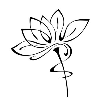 Beyaz arka planda siyah çizgiler içinde yaprakları olmayan kısa saplı bir çiçek.