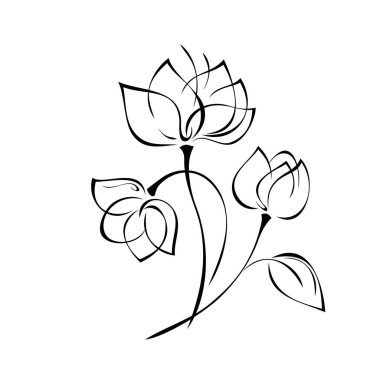 Kısa saplı büyük yapraklı üç dekoratif çiçek ve beyaz arkaplanda siyah çizgili bir yaprak.