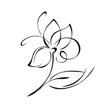 Bir sapında büyük taç yaprakları olan çiçek, beyaz arkaplanda siyah çizgiler halinde bir yaprak.