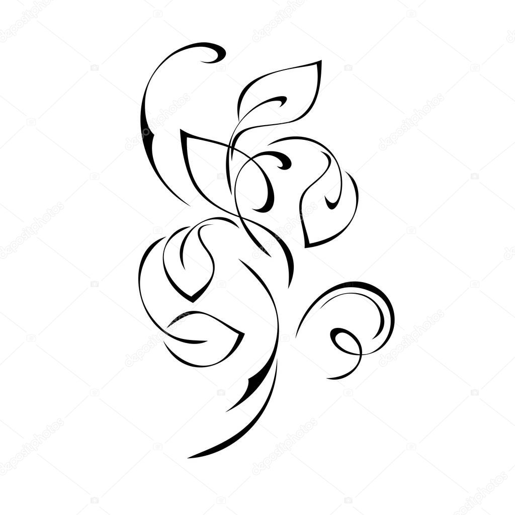stylized twig with leaves and vignettes in black lines on a white background