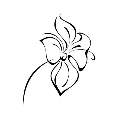 Beyaz arka planda siyah çizgiler içinde yaprakları olmayan kısa saplı bir çiçek.