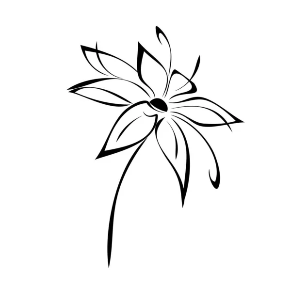 Один Стилизованный Цветущий Цветок Коротком Стебле Листьев Черных Линиях Белом — стоковый вектор