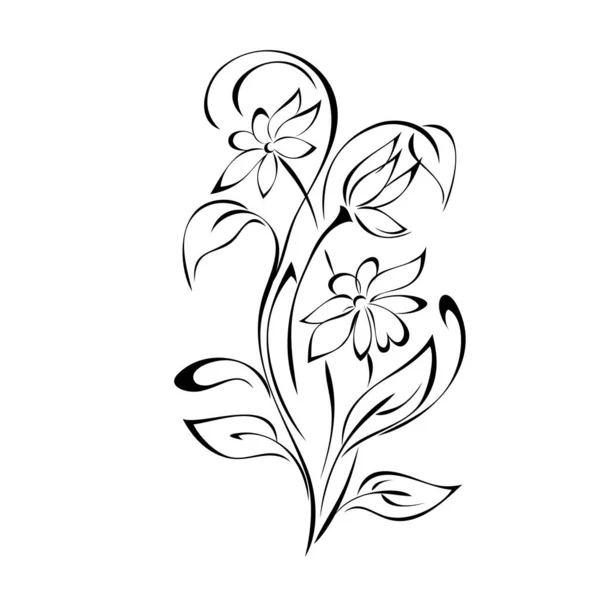 Bouquet Three Stylized Flowers Stems Leaves Curls Black Lines White — Stock Vector