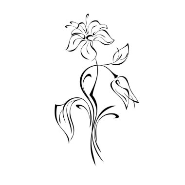 Yaprakları olan büyük yaprakları olan stilize bir çiçek ve beyaz arkaplanda siyah çizgiler içinde bir tomurcuk