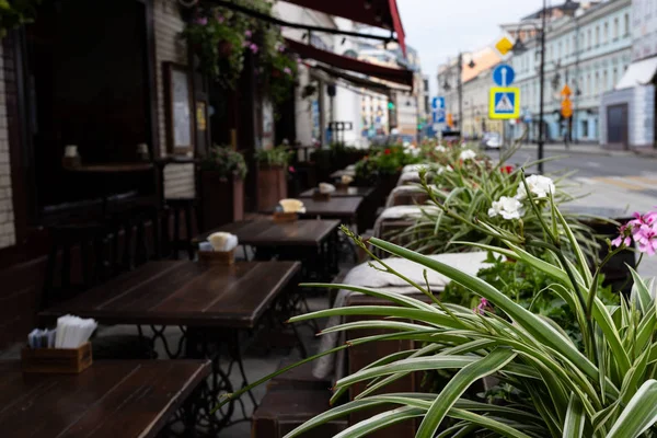Mesas de la calle fuera de un café en el fondo se desenfoca en primer plano, las hojas de flores — Foto de Stock