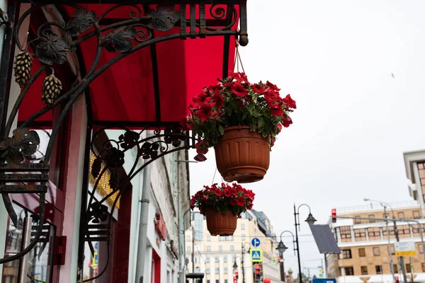 Elemento del paisaje urbano. Patrón de dosel de bronce de hierro forjado sobre la puerta, techo rojo brillante y flores en macetas colgantes — Foto de Stock