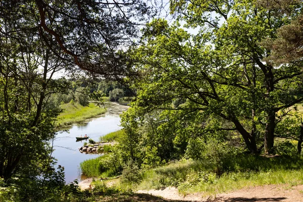 여름에는 조용한 삼림 지대 강에서 유람선 — 스톡 사진