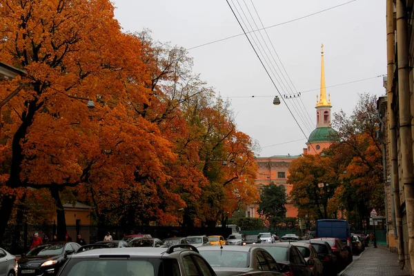 ST. PETERSBURG, RUSIA, 4 de octubre de 2018 Árboles brillantes en las calles de la ciudad en el día de otoño — Foto de Stock