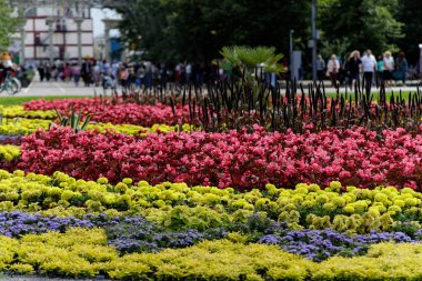 Moskova, Rusya - 6 Ağustos 2019: Moskova'daki Sokolniki Parkı'nda yolda yürüyen insanların görüntüsü