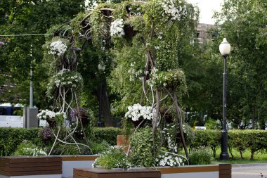 Moskova'da şehir meydanında güzel dikey bahçe, Rusya