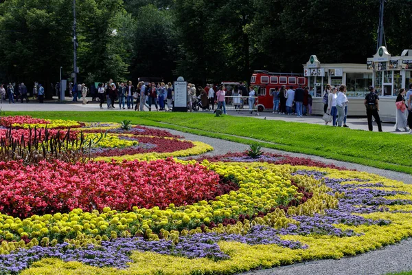 Москва, Росія-6 серпня 2019: образ людей, що йдуть по шляху в парку Сокольнікі в Москві — стокове фото