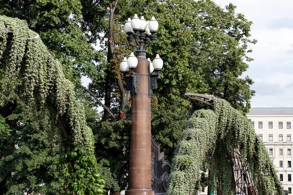 Красивий вертикальний сад на площі міста в Москві, Росія — стокове фото