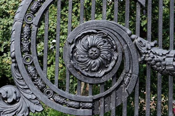 Antyczny czarny żeliwo ozdobny krata z zakurzonych powierzchni kwiatowych elementów. Stare kraty drzwiowe. — Zdjęcie stockowe