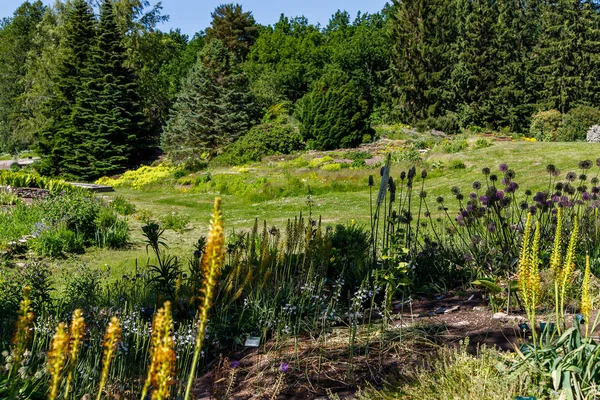 Hermoso diseño paisajístico en el jardín botánico Imágenes de stock libres de derechos