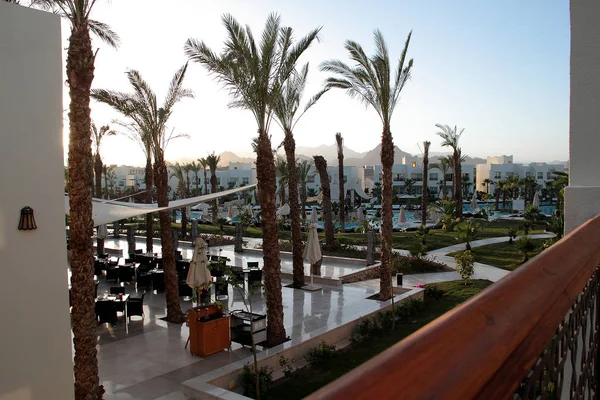 Шарм-Ель-Шейх, Єгипет, 05 вересня, 2018. Готель Le Royal Resort в Шарм-Шейху, красиві сади готелю з білими будинками і високими пальмовими деревами — стокове фото