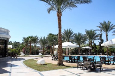 Mısır'da bir otelde dinlenin. Güzel manzara ve denizde konforlu konaklama.