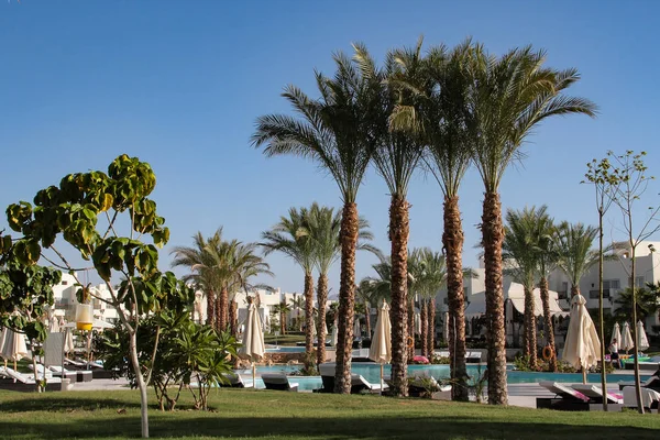 Descanso en Egipto hotel. Hermosa vista y estancia confortable en el mar . —  Fotos de Stock