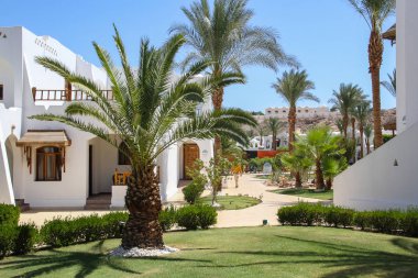 Şarm El Şeyh, Mısır, 05 Eylül 2018. Kızıldeniz yakınlarındaki tropikal turizm beldesi. Yaz tatili konsepti