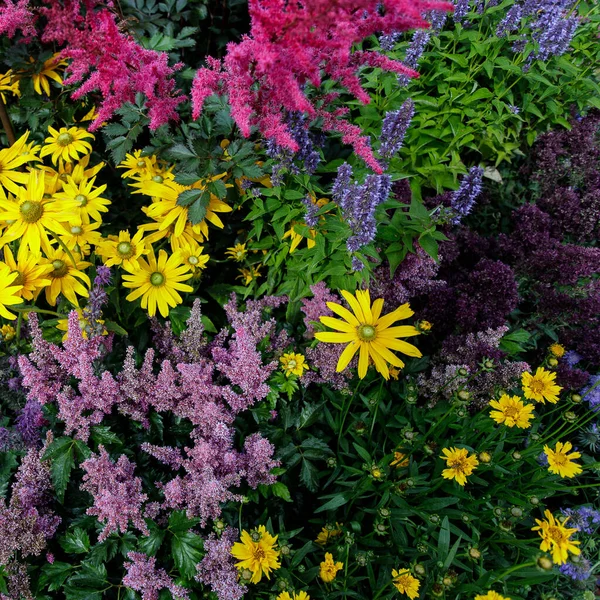 화려 한 꽃 장식들. 꽃들의 배경. 분홍, 노랑, 자주, 파랑 꽃들 — 스톡 사진