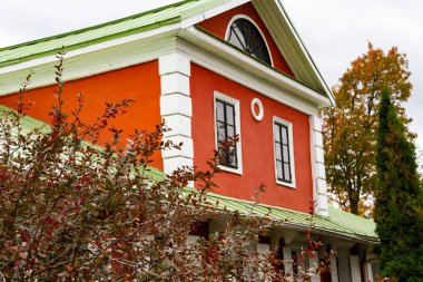 Parlak kırmızı böğürtlen, latin adı Berberis Coronita, bir çalılığın dallarında