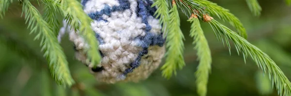 糸の玉でクリスマスの背景 クリスマスツリーの緑の枝に青いウールのボールがぶら下がっている白い コピースペース付きの水平バナー 手仕事のための冬の贈り物の概念 — ストック写真