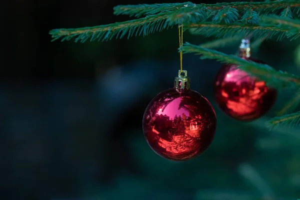 Rote Weihnachtskugeln Mit Spiegelung Schmücken Die Grünen Zweige Des Weihnachtsbaums — Stockfoto