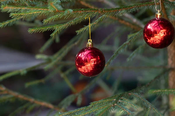 Yansımalı Kırmızı Noel Topları Noel Ağacının Yeşil Dallarını Süslüyor Kış — Stok fotoğraf