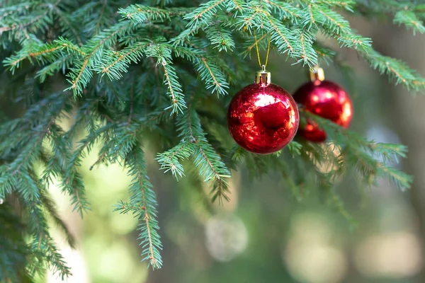 Bolas Navidad Rojas Con Reflejo Decorar Las Ramas Verdes Del — Foto de Stock