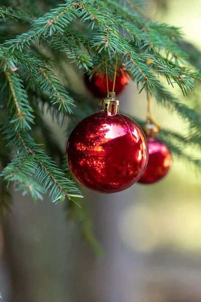 反射の赤いクリスマスボールは クリスマスツリーの緑の枝を飾る 冬休みだ テキストのためのスペースとクリスマスのテーマ — ストック写真