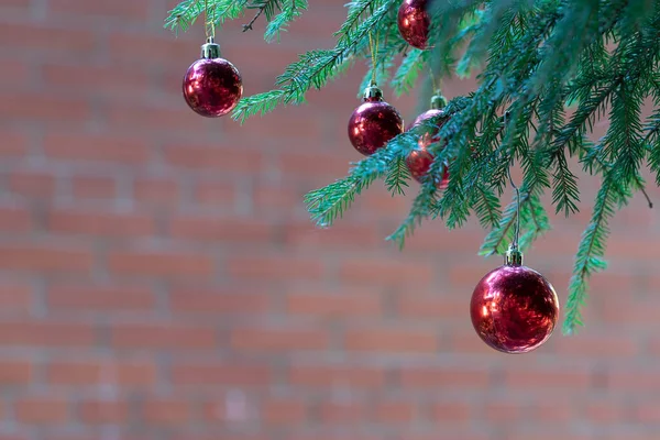 Bolas Navidad Rojas Con Reflejo Decorar Las Ramas Verdes Del —  Fotos de Stock