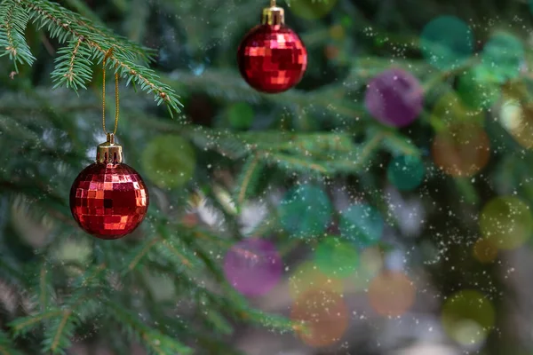 Bolas Navidad Rojas Con Reflejo Decorar Las Ramas Verdes Del — Foto de Stock