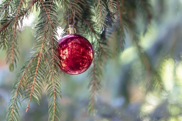 Christmas Decoration Bauble Ball Hanging Fir Tree Abstract Bokeh Background — Stock Photo, Image