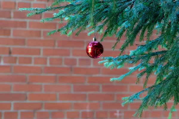 Rote Weihnachtskugel Mit Spiegelung Schmücken Die Grünen Zweige Des Weihnachtsbaums — Stockfoto