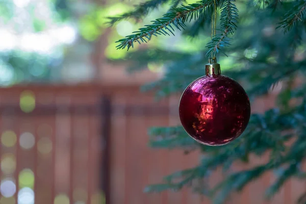 反射の赤いクリスマスボールは クリスマスツリーの緑の枝を飾る 冬休みだ テキストのためのスペースとクリスマスのテーマ — ストック写真