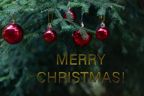 Veselé Vánoční Pozdravy Červené Skleněné Koule Zelených Borovicích Vánoční Přání — Stock fotografie